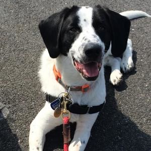 Meet your Posher, Ariela